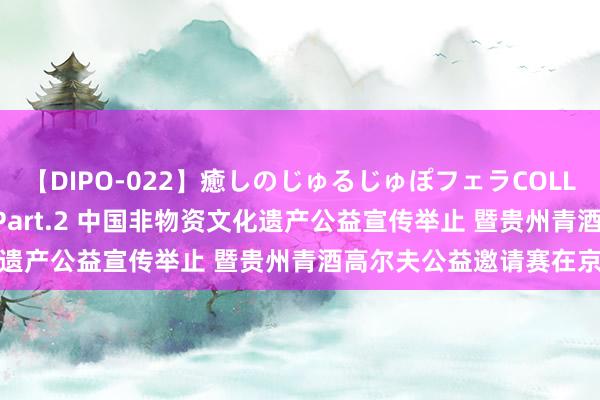 【DIPO-022】癒しのじゅるじゅぽフェラCOLLECTION50連発4時間 Part.2 中国非物资文化遗产公益宣传举止 暨贵州青酒高尔夫公益邀请赛在京运转