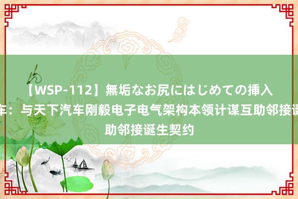 【WSP-112】無垢なお尻にはじめての挿入 小鹏汽车：与天下汽车刚毅电子电气架构本领计谋互助邻接诞生契约