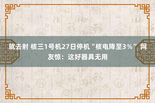 就去射 核三1号机27日停机“核电降至3％” 网友惊：这好器具无用