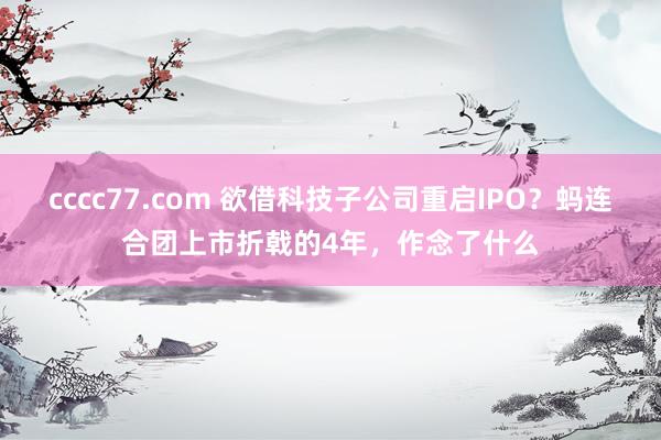 cccc77.com 欲借科技子公司重启IPO？蚂连合团上市折戟的4年，作念了什么