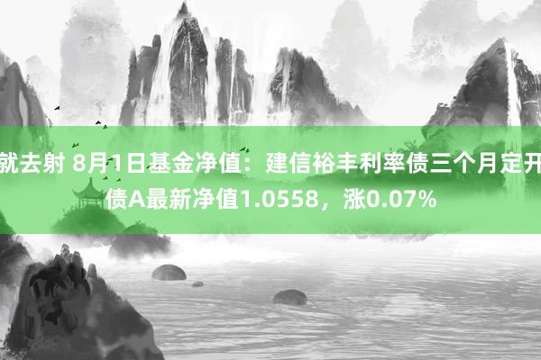 就去射 8月1日基金净值：建信裕丰利率债三个月定开债A最新净值1.0558，涨0.07%