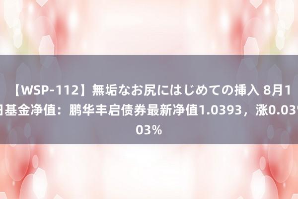 【WSP-112】無垢なお尻にはじめての挿入 8月1日基金净值：鹏华丰启债券最新净值1.0393，涨0.03%