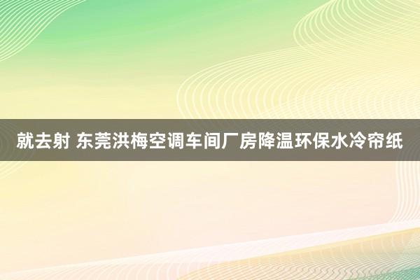 就去射 东莞洪梅空调车间厂房降温环保水冷帘纸