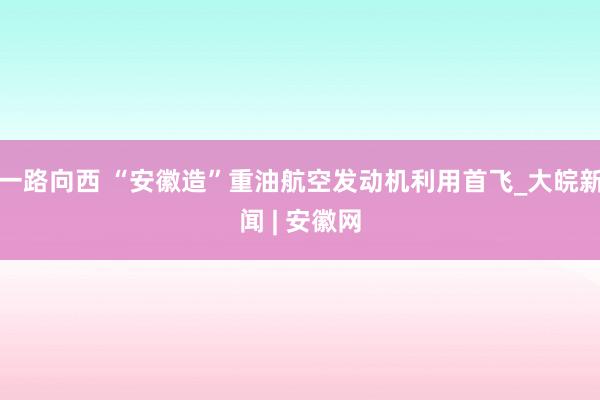 一路向西 “安徽造”重油航空发动机利用首飞_大皖新闻 | 安徽网