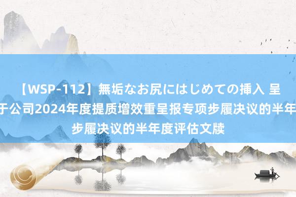 【WSP-112】無垢なお尻にはじめての挿入 呈和科技: 对于公司2024年度提质增效重呈报专项步履决议的半年度评估文牍