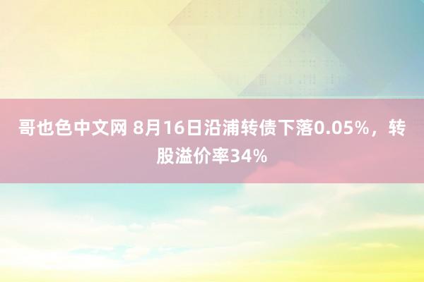 哥也色中文网 8月16日沿浦转债下落0.05%，转股溢价率34%