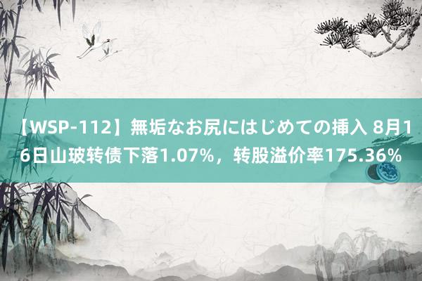 【WSP-112】無垢なお尻にはじめての挿入 8月16日山玻转债下落1.07%，转股溢价率175.36%