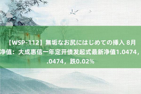 【WSP-112】無垢なお尻にはじめての挿入 8月22日基金净值：大成惠信一年定开债发起式最新净值1.0474，跌0.02%