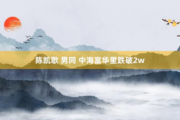 陈凯歌 男同 中海富华里跌破2w