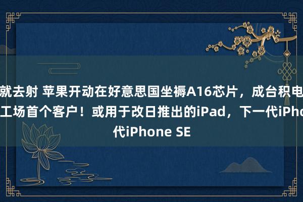 就去射 苹果开动在好意思国坐褥A16芯片，成台积电好意思工场首个客户！或用于改日推出的iPad，下一代iPhone SE