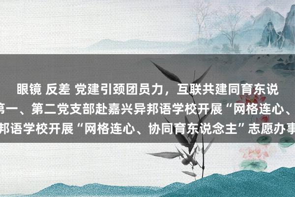 眼镜 反差 党建引颈团员力，互联共建同育东说念主——嘉兴见地学院第一、第二党支部赴嘉兴异邦语学校开展“网格连心、协同育东说念主”志愿办事