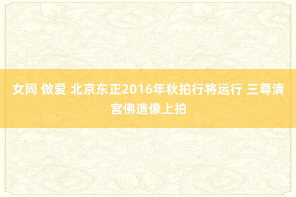 女同 做爱 北京东正2016年秋拍行将运行 三尊清宫佛造像上拍