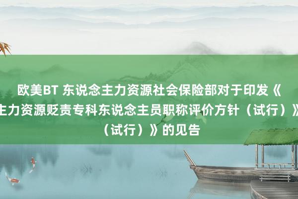 欧美BT 东说念主力资源社会保险部对于印发《东说念主力资源贬责专科东说念主员职称评价方针（试行）》的见告