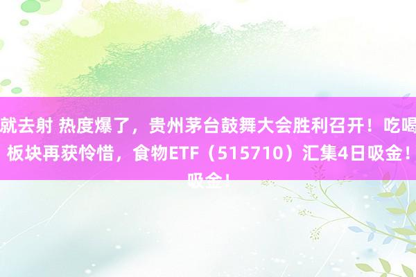 就去射 热度爆了，贵州茅台鼓舞大会胜利召开！吃喝板块再获怜惜，食物ETF（515710）汇集4日吸金！