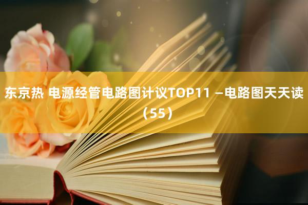 东京热 电源经管电路图计议TOP11 —电路图天天读（55）