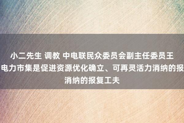 小二先生 调教 中电联民众委员会副主任委员王志轩：电力市集是促进资源优化确立、可再灵活力消纳的报复工夫