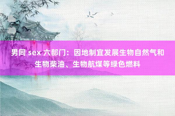 男同 sex 六部门：因地制宜发展生物自然气和生物柴油、生物航煤等绿色燃料